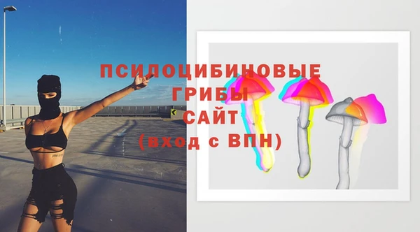 стафф Козловка