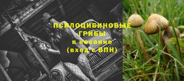 стафф Козловка