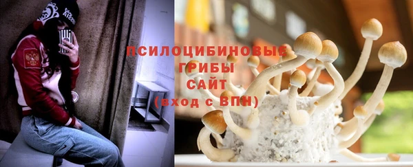 стафф Козловка