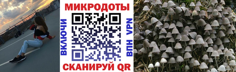 Псилоцибиновые грибы прущие грибы  Купить где  Орёл 