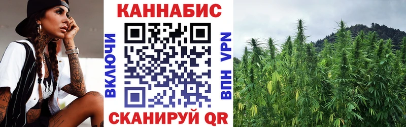 Бошки марихуана гибрид Орёл